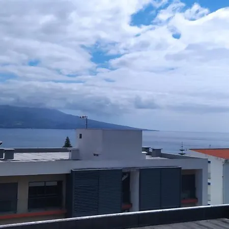 Al Vista Alegre